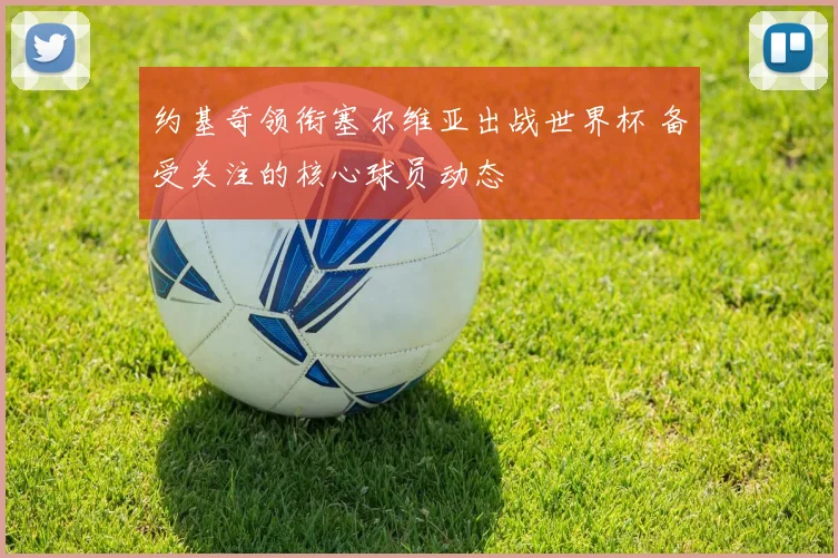 约基奇领衔塞尔维亚出战世界杯 备受关注的核心球员动态