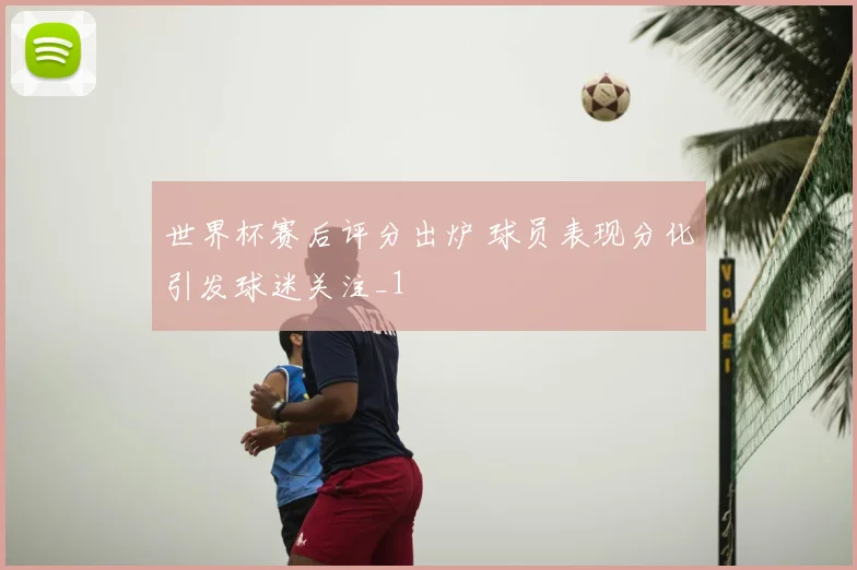 世界杯赛后评分出炉 球员表现分化引发球迷关注_1