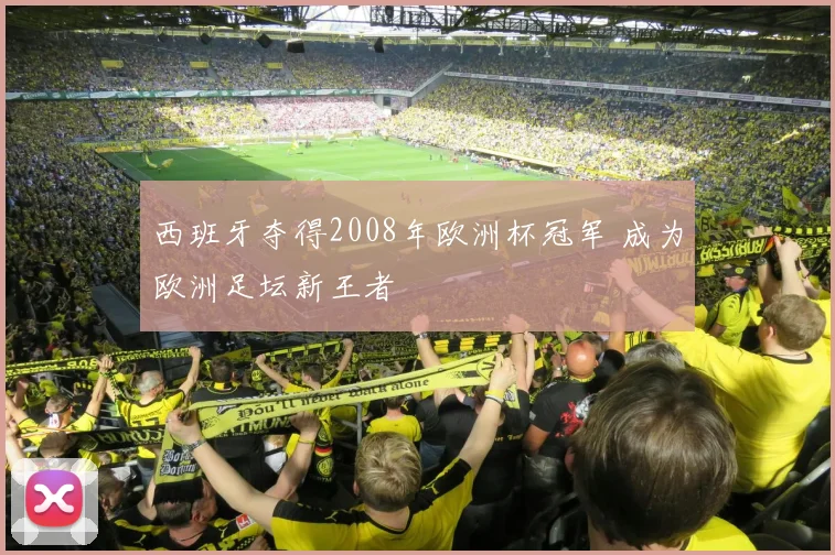 西班牙夺得2008年欧洲杯冠军 成为欧洲足坛新王者
